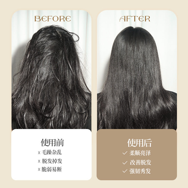 Natural Boar Bristle Air Cushion Comb Air Bag Massage Comb Scalp Meridian Fluffy Bamboo Comb Beech Wood Comb